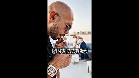 Tate aka King Cobra.
