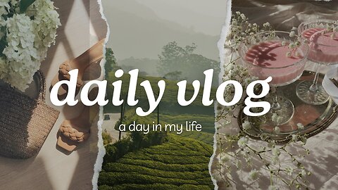 My New Funny Family Vlog