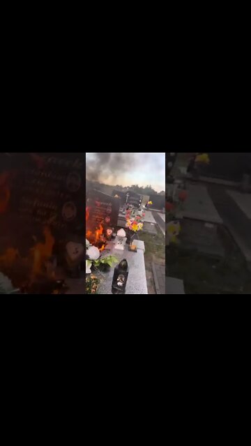 #shorts #2022 funny,prank,funjokes,dad jokes,funny memes,funny video,fun,laughing,funny animal,knock