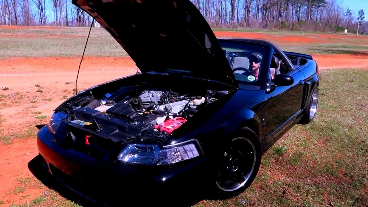 2003 SVT Cobra Mustang- The Terminator