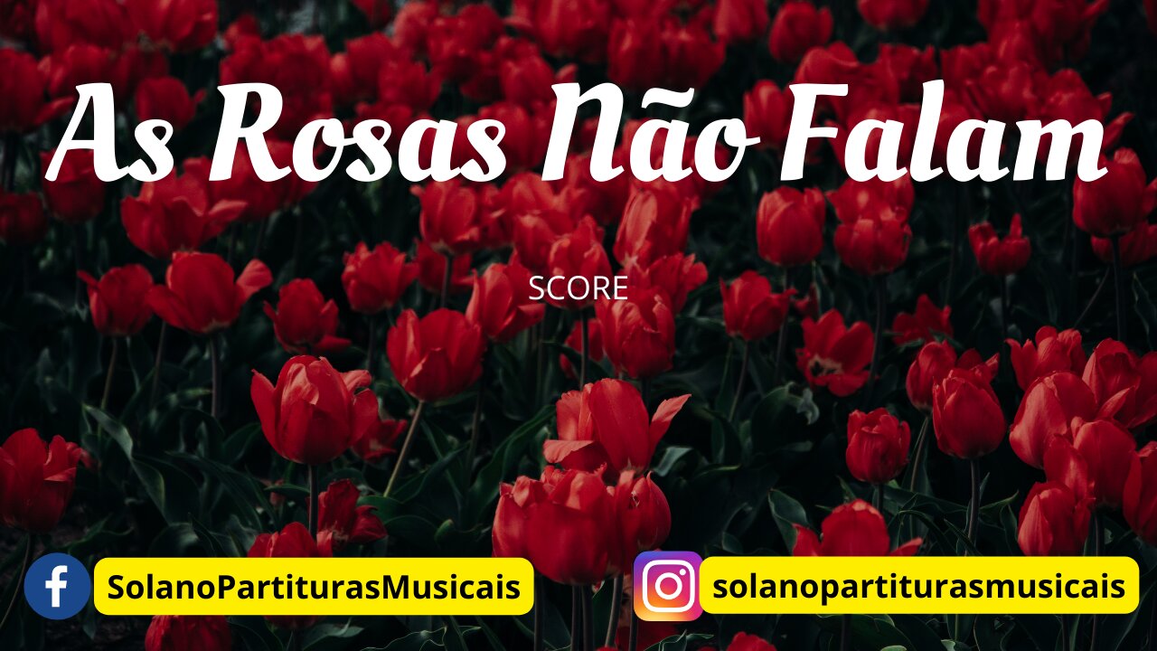 As Rosas não Falam