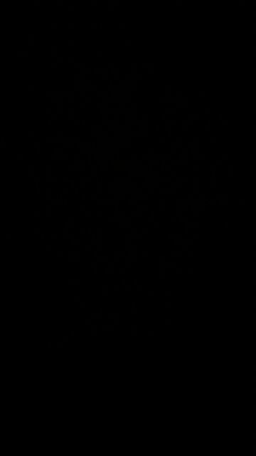 Market crash before election