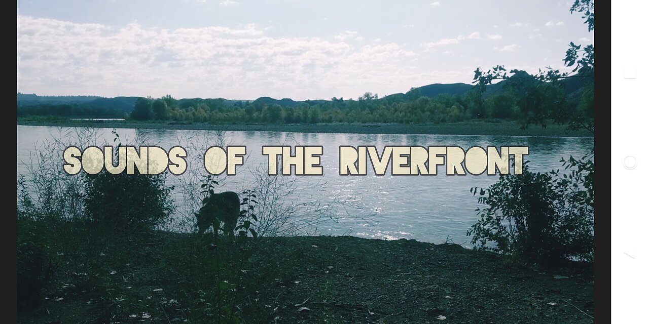 Sounds of the Riverfront