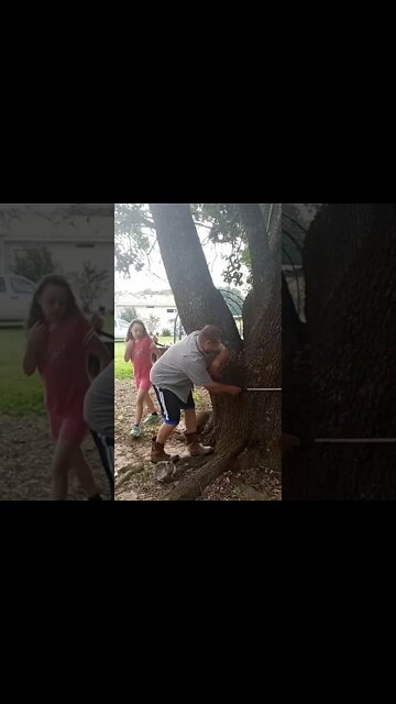 #BigWood Contest #RidgeLife # #Short