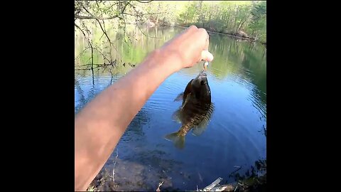 first cast and almost lost him