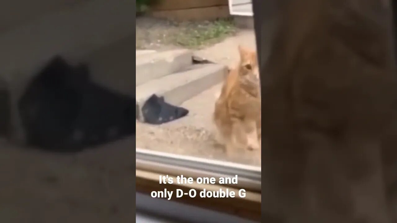 It's the one and only D-O double G #shorts