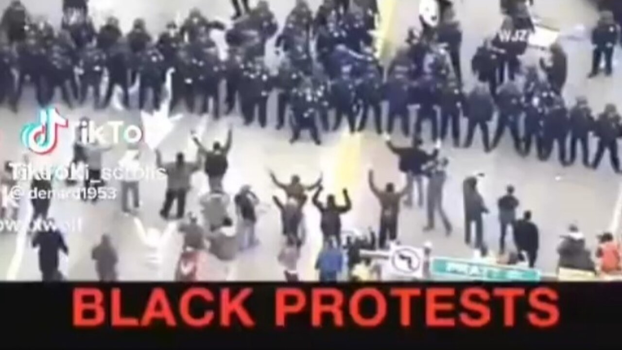 WHITE VS BLACK PROTESTERS