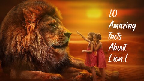 Top 10 Awesome Facts About Lions | Amazing Animals