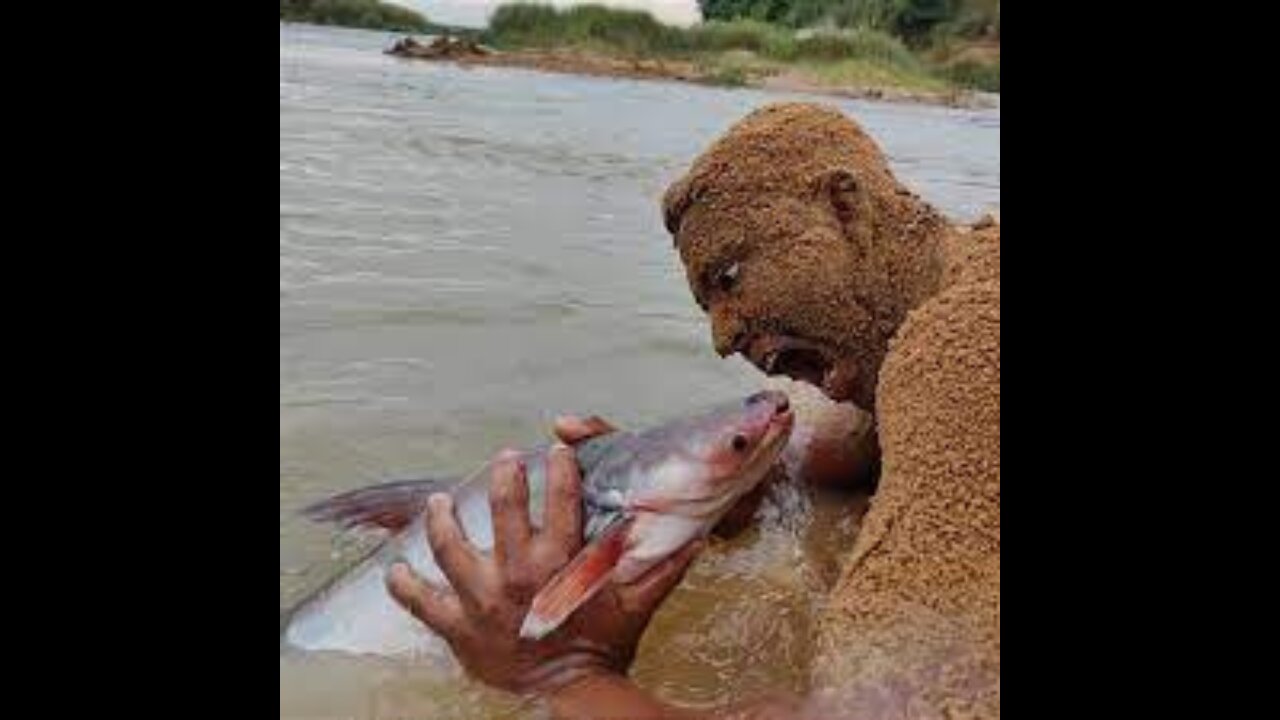 Sand Man Fishing Video Unbelievable Technique River Flower Water Catching Big Wallago Fish By Hand