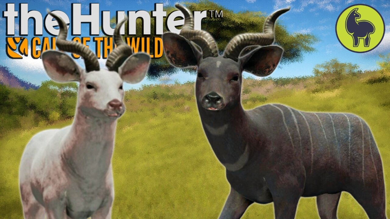 Old World Staple, Hunt Club Beta | theHunter: Call of the Wild (PS5 4K 60FPS)
