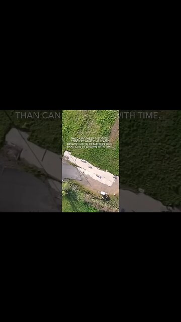 FreeDIYm from $lavery?