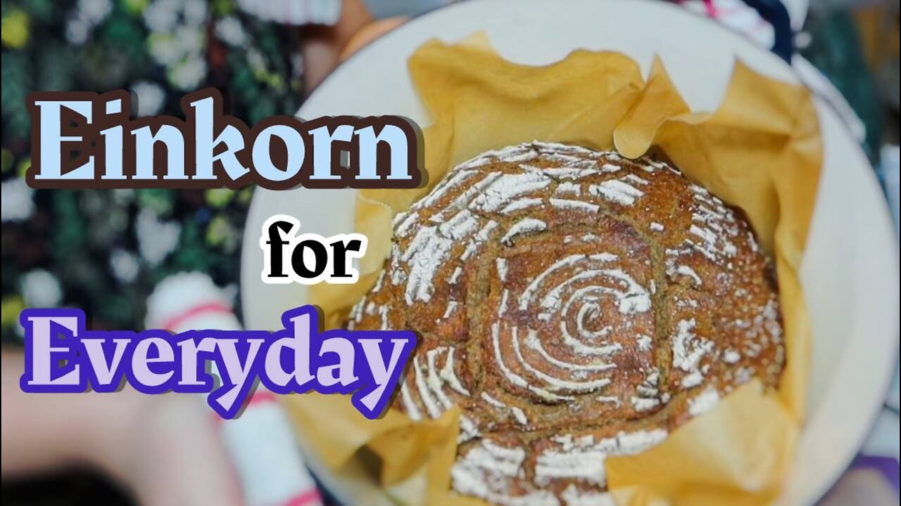 Ultimate Beginner Einkorn Sourdough Bread Recipe No Mess No Knead