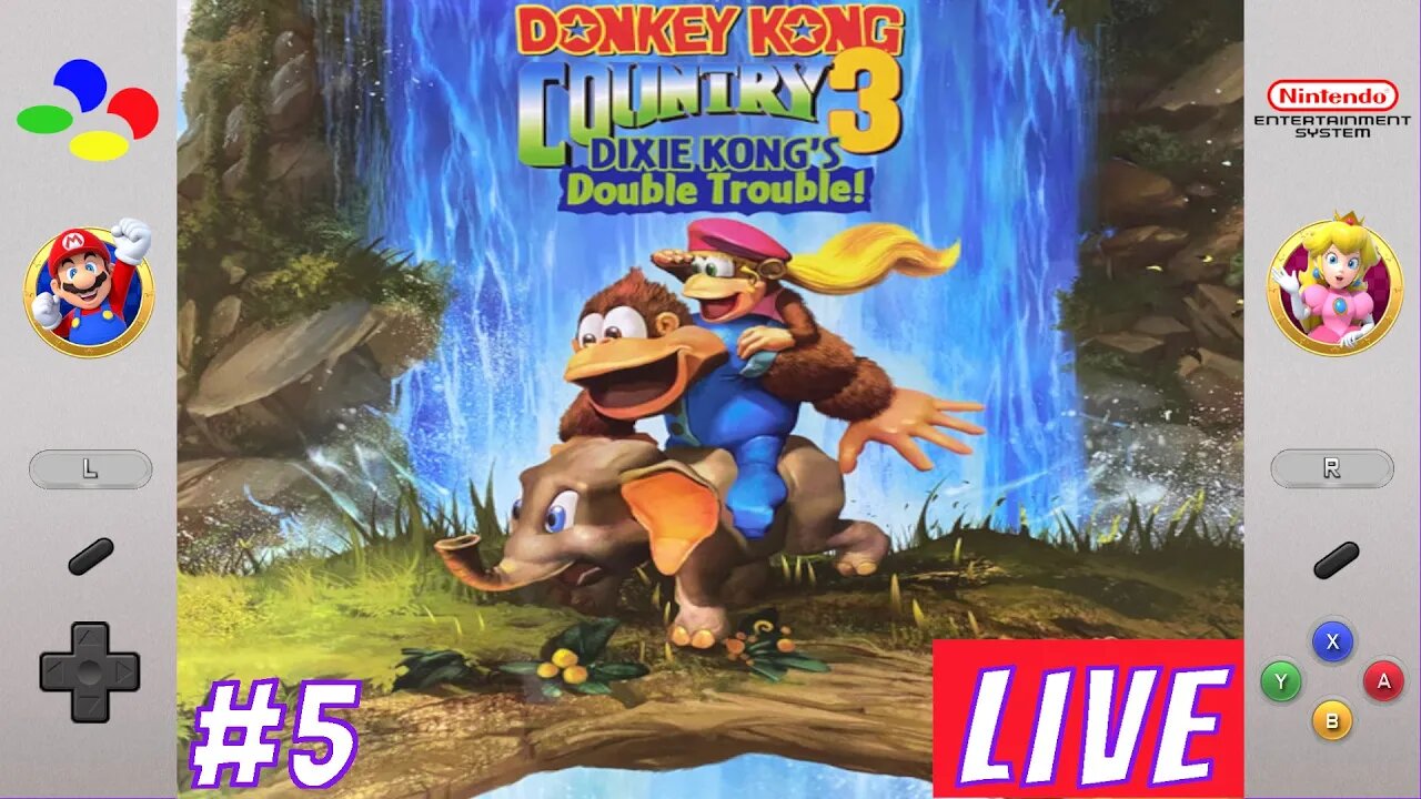 [🔴Live]Donkey Kong 3 #5 GamePlay