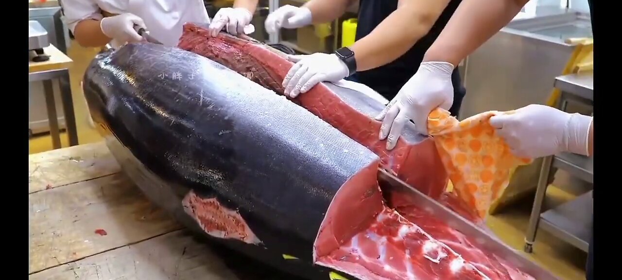 Tuna fish cutting skill! amazing fish cutting video