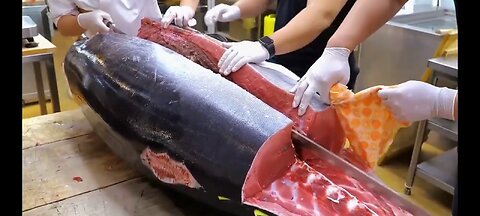 Tuna fish cutting skill! amazing fish cutting video