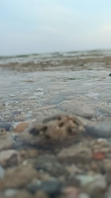 Persian Gulf sea wave