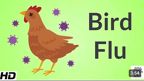 Bird flu Signs and symptoms diagnosis and treatment in us 2024