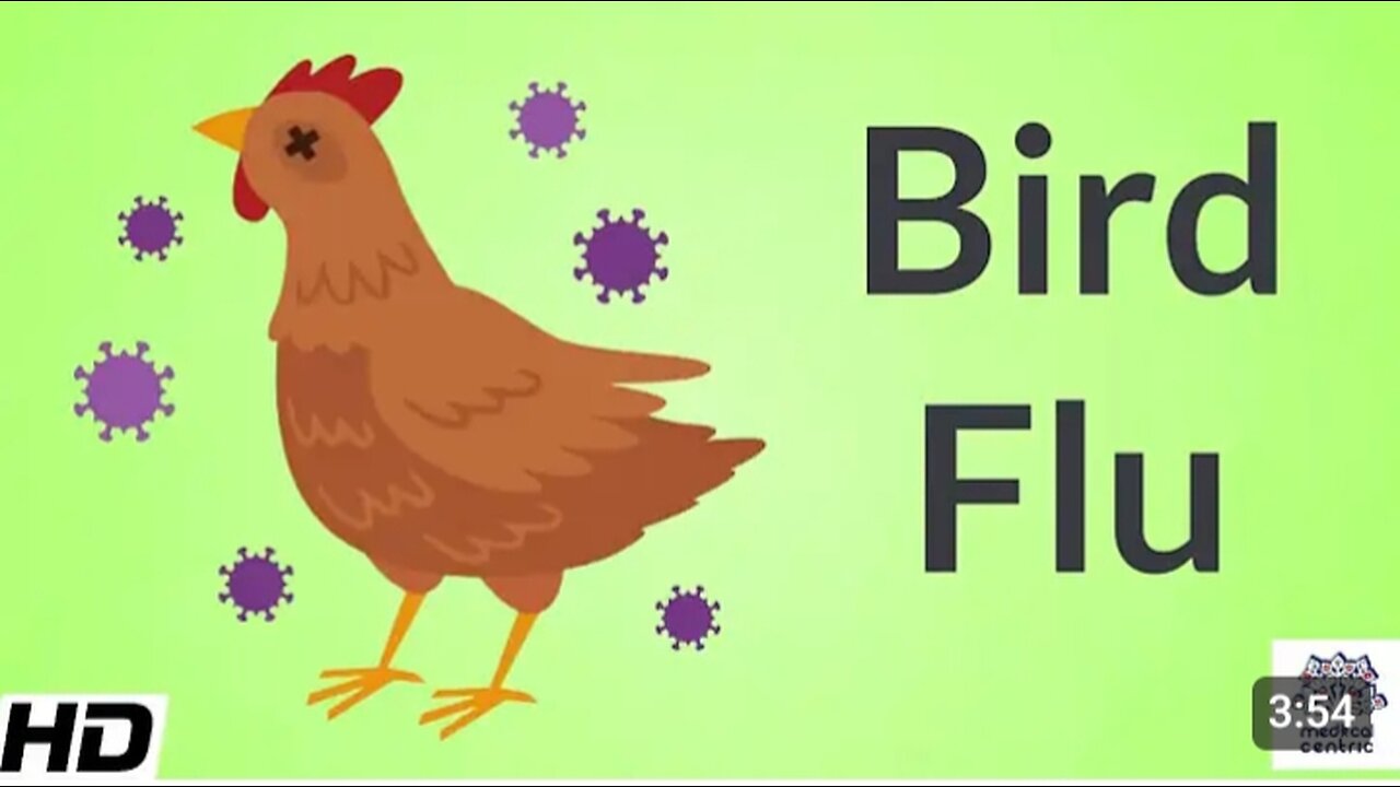 Bird flu Signs and symptoms diagnosis and treatment in us 2024