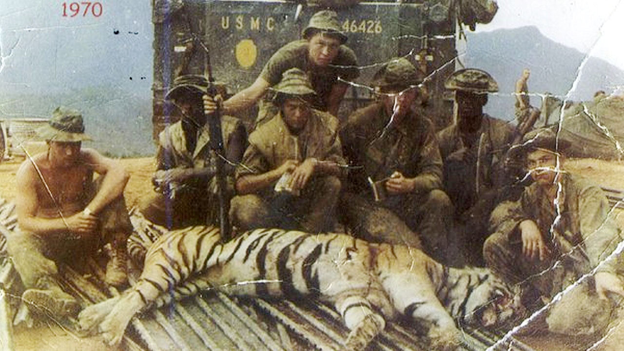 The Strange Ambush of Team Rock Mat, Vietnam 1970 💥🔫🪖🐅