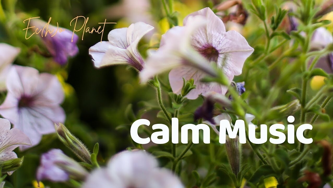 Find Inner Peace with 1 Hour of Calm Music for Stress Relief: Flowers Therapy Music