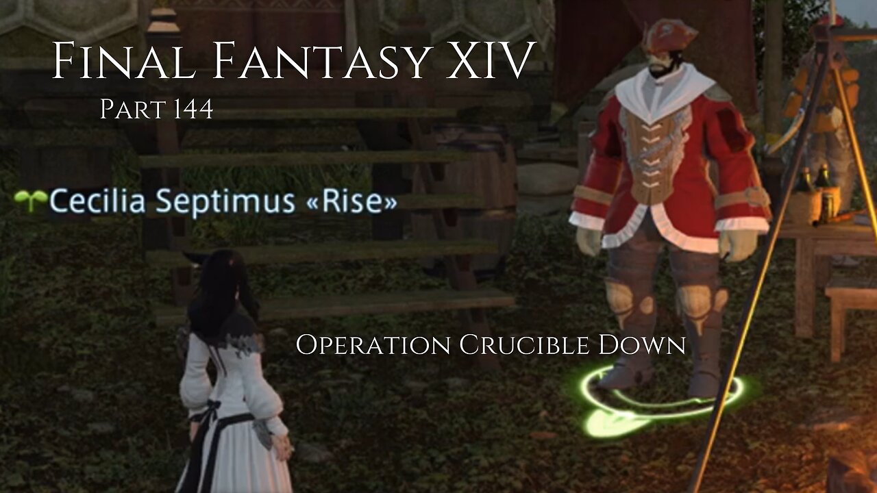 Final Fantasy XIV Part 144 - Operation Crucible Down