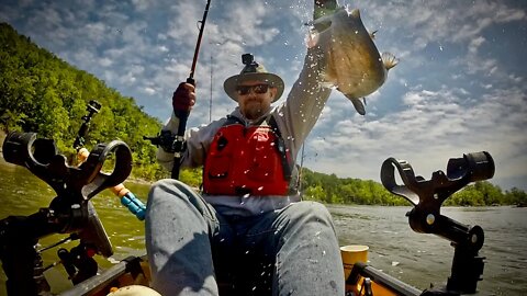 Springtime Catfishing