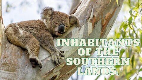 Inhabitants of the southern lands.