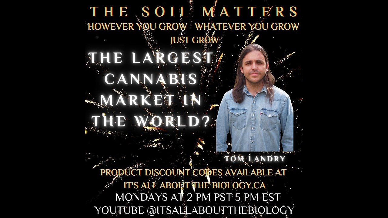 The Largest Cannabis Market In The World?