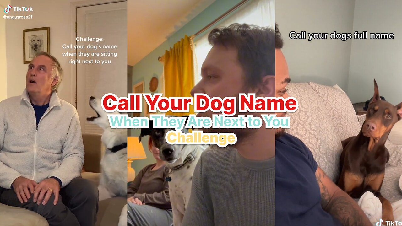 Call Your Dog Name When They Are Next to You Challenge Compilation