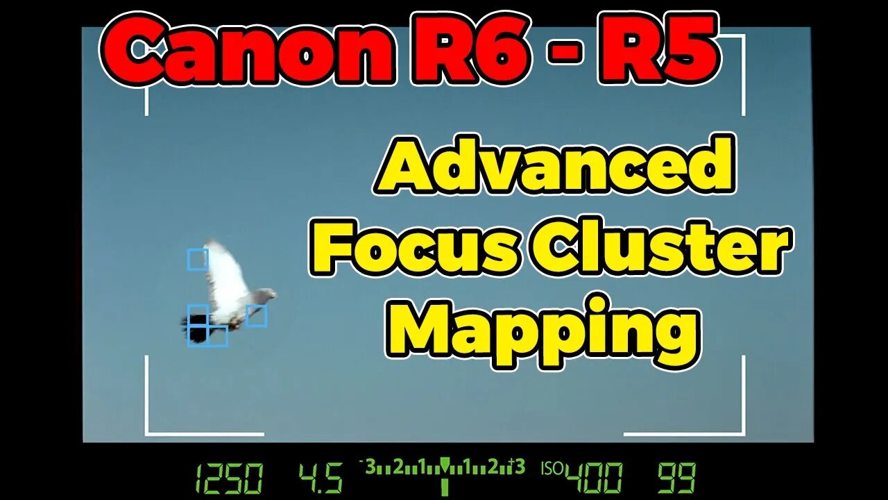 Canon R5/R6 Tutorial - Advanced Focus Cluster Mapping for BIF - Birds In Flight Shooting