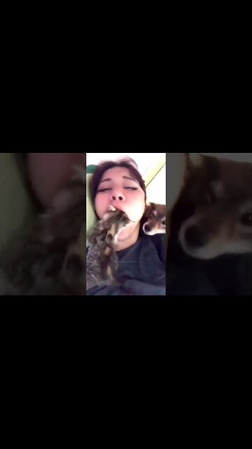 Cat in the mouth- Fails 😂😂😂 #shortsfails #shortvideo #failsvideo