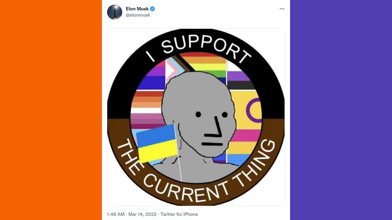 Elon Musk Mocks NPC's And Netflix