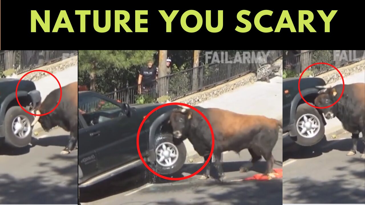 Nature you scary --- Epic Fails