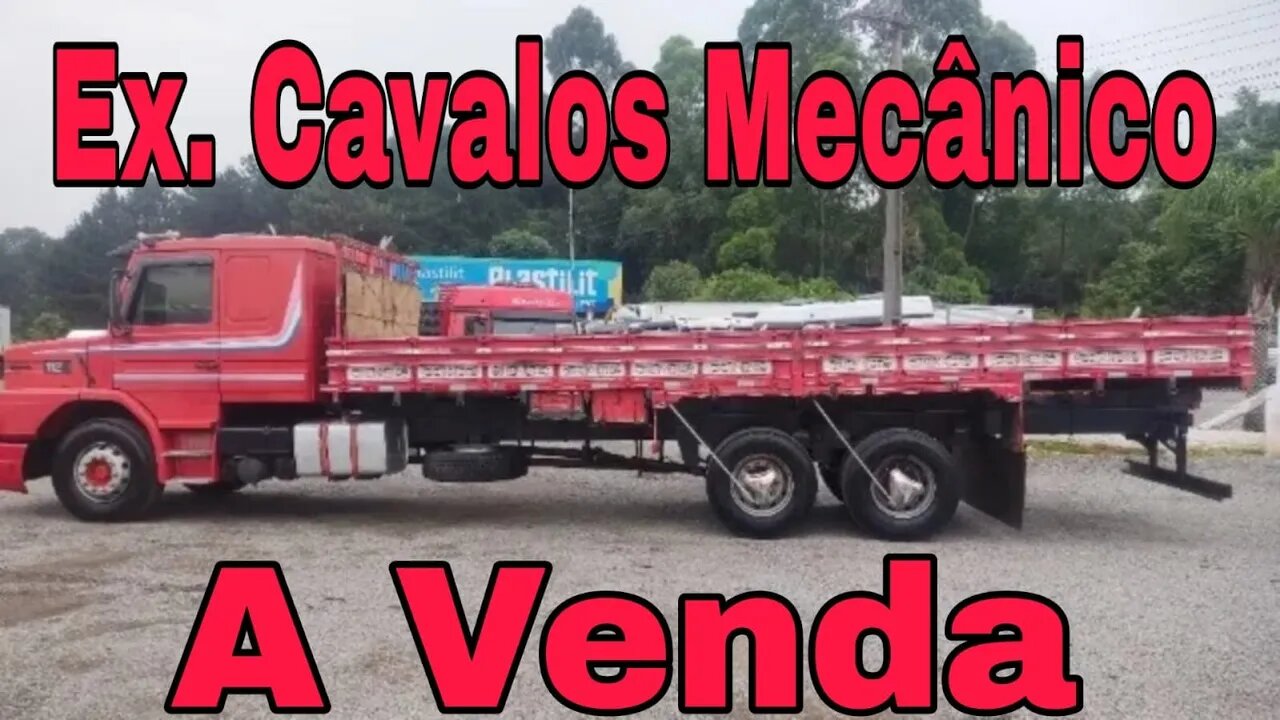 CAMINHÕES Ex Cavalos Mecânicos A VENDA Oliveira Isaias