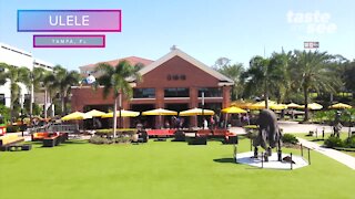 Ulele Restaurant on The Tampa Riverwalk | Taste and See Tampa Bay