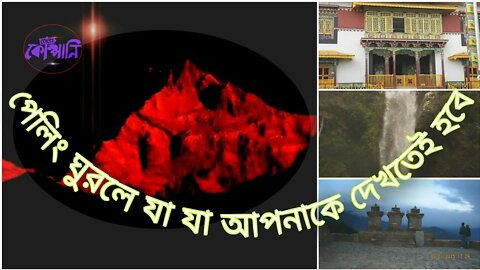 ll পেলিং ভ্রমণের একটি ছোট্ট দিনলিপি ll A trip to pelling ll west sikim ll