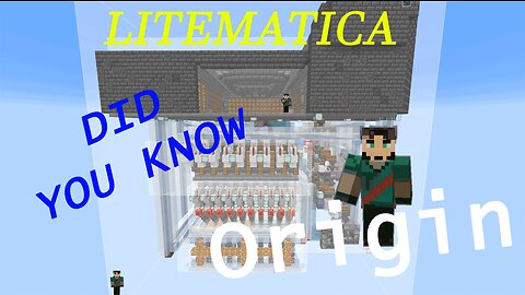 Minecraft Litematica (Did You Know) Point of Origin