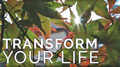 Transform Your Life - Matrixx