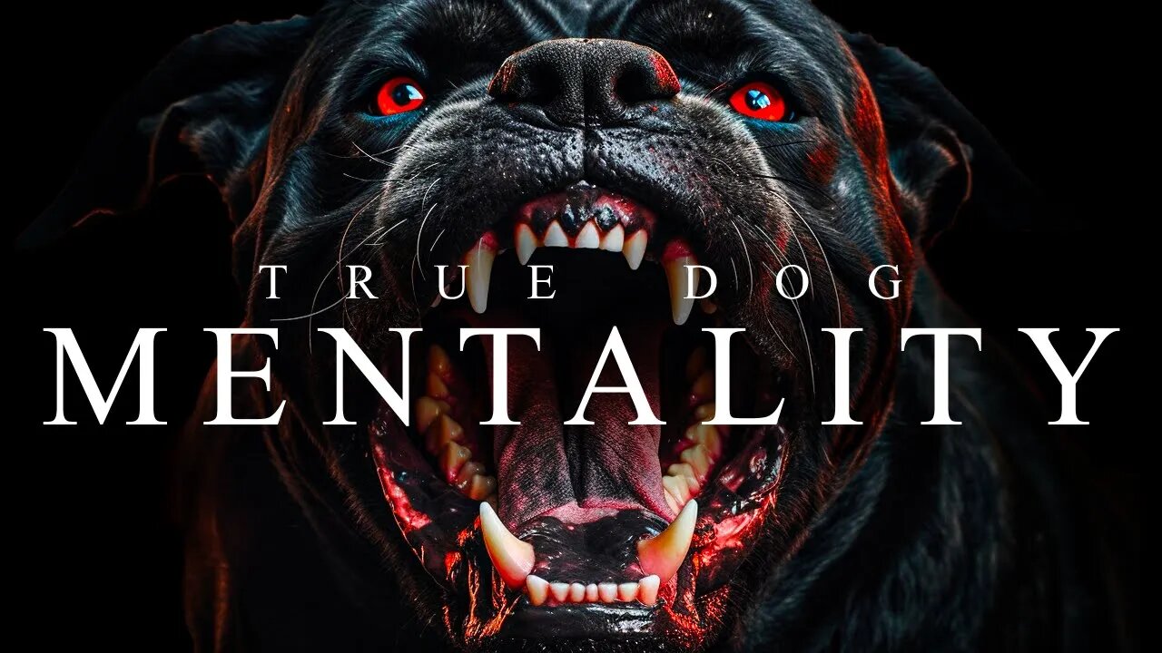 TRUE DOG MENTALITY - Best Motivational Video Speeches Compilation