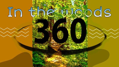 360° In The Woods ASMR