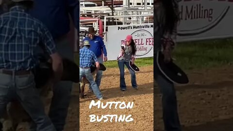 Little Mutton Busting at the rodeo