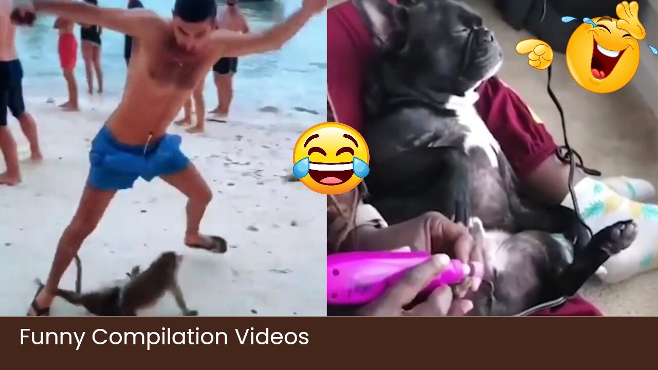 Funny Animal Videos | Try Not To Laugh #Rumbel