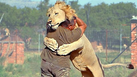 Different Animals are Reunited With Owners After a couple of Years