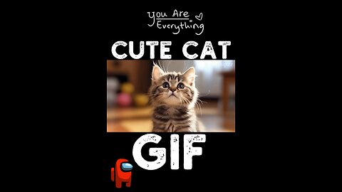 Cute Cat Gif