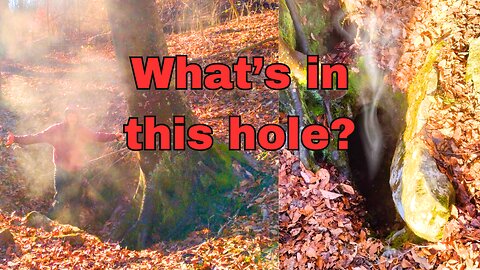 Mysterious Hole in the Forest - What lies beneath?