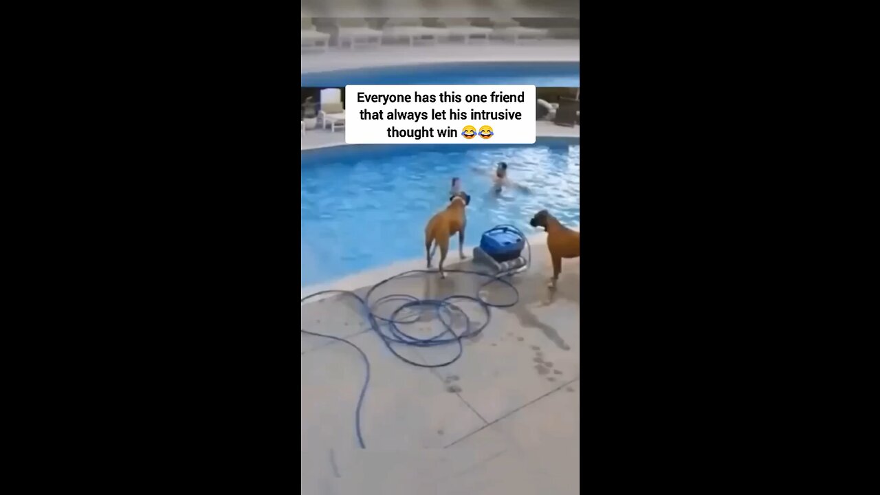 Funny animals videos 🤣😂😭