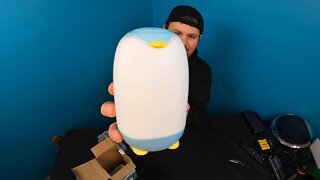 Unboxing: Touch Lamp, Penguin Table Lamp with Alarm Clock