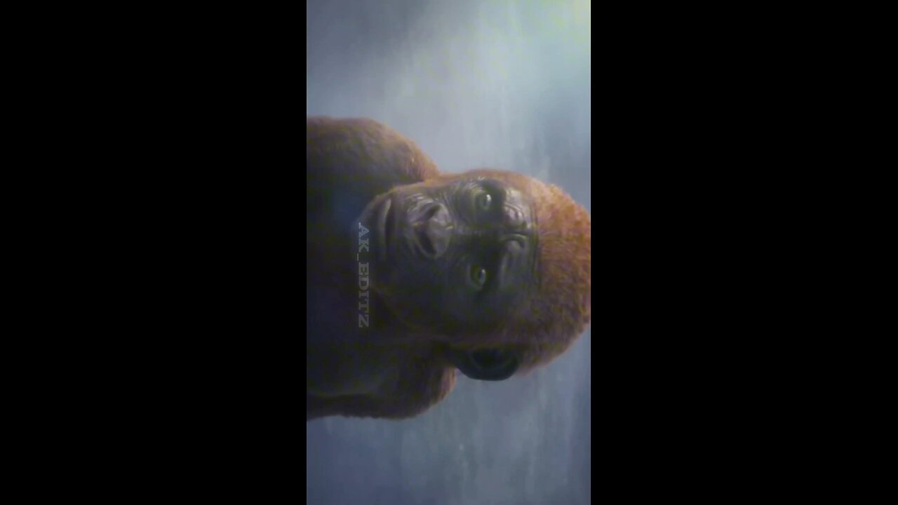 Godzilla x Kong: The New Empire new trailer Malayalam troll Suraj