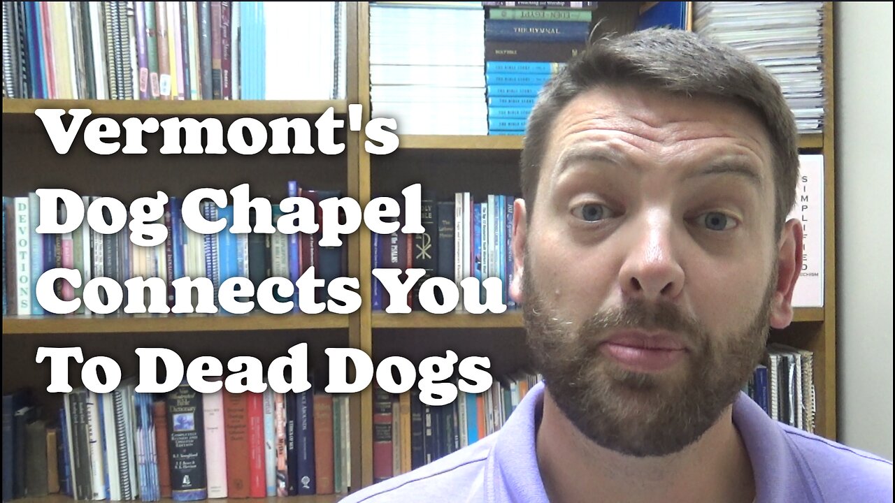 Vermont's Dog Chapel Connects You To Dead Dogs