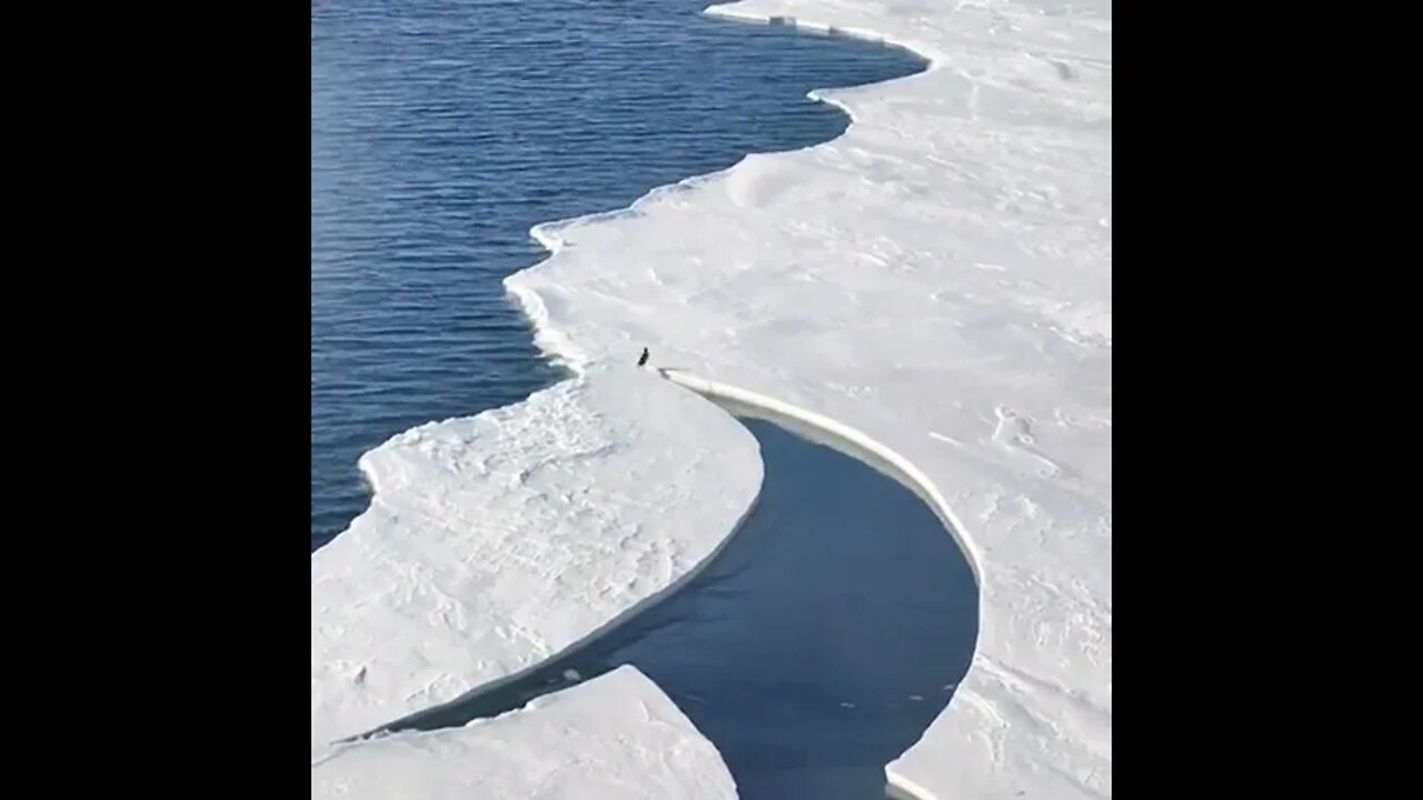 from a few years back while down in Antarctica. #SHORTS